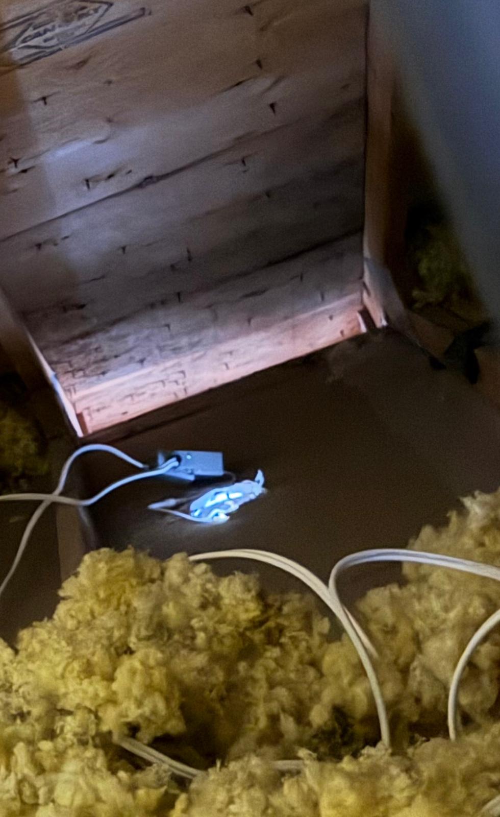 Attic exhaust ventilation and insulation conditions observed during inspection