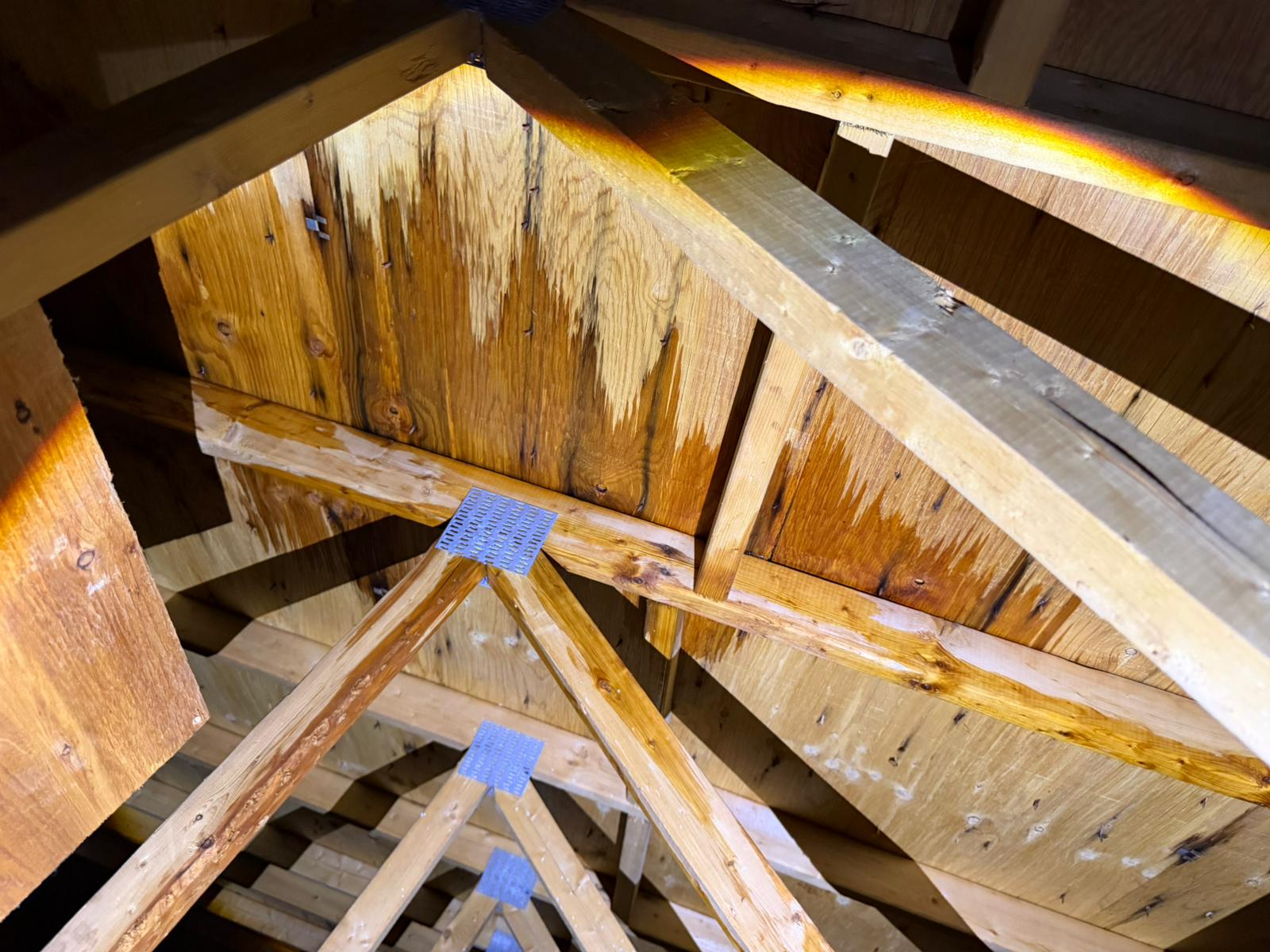 Attic roof framing and sheathing viewed during a home inspection