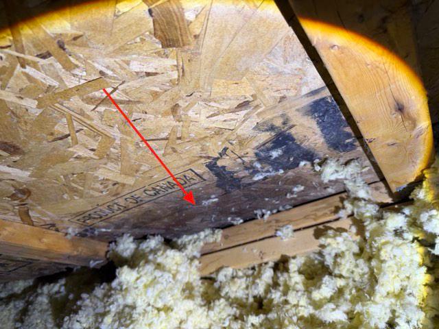 Dark staining on attic roof sheathing identified during home inspection